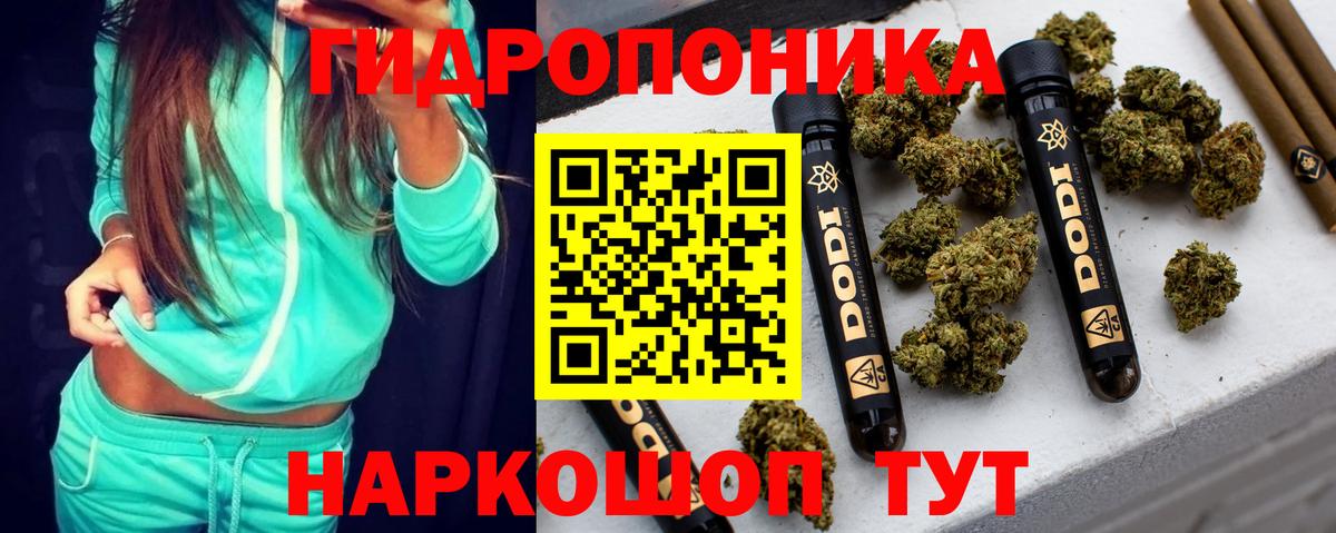 Конопля тримм  Бошки марихуана семена  Ижевск  Вход с VPN  Бошки Шишки THC 21%  Конопля сатива 